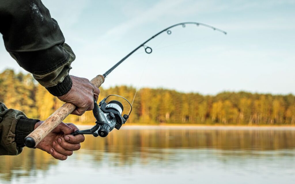 Funny Fishing Names